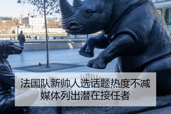 法国队新帅人选话题热度不减 媒体列出潜在接任者