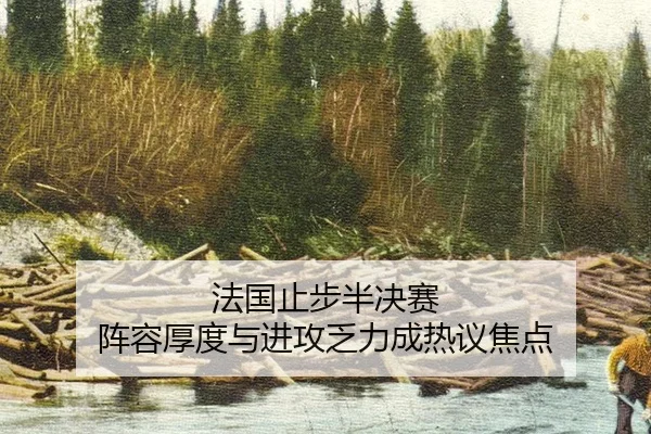 fa-guo-zhi-bu-ban-jue-sai-zhen-rong-hou-du-yu-jin-gong-fa-li-cheng-re-yi-jiao-dian-2-433.jpg